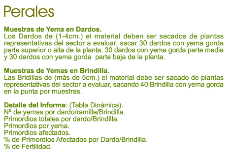 texto cerezos